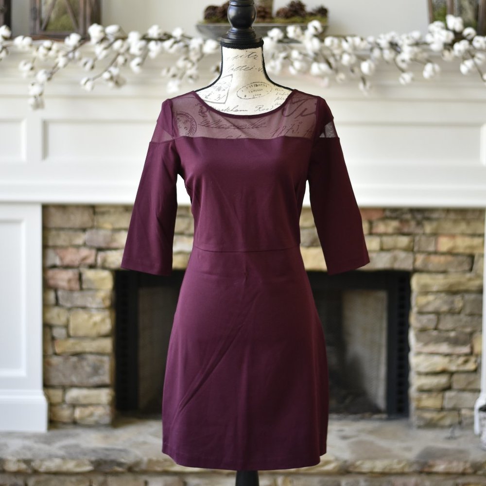 BB Dakota Jada burgundy bodycon mesh dress